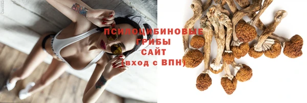 героин Белокуриха