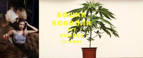 прущие грибы Беломорск
