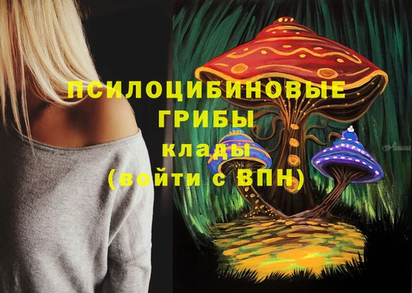 прущие грибы Беломорск