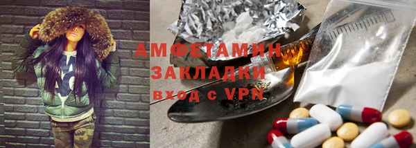прущие грибы Беломорск
