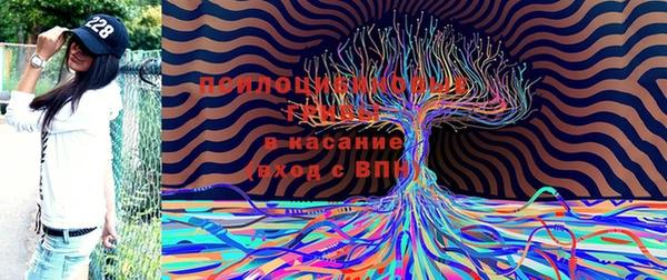 героин Белокуриха