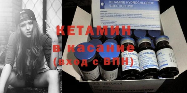 прущие грибы Беломорск