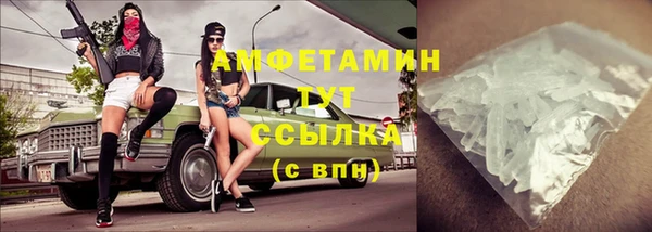 прущие грибы Беломорск