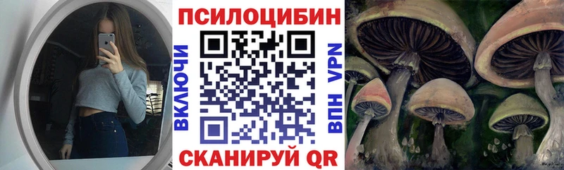 Псилоцибиновые грибы прущие грибы  Кириши 